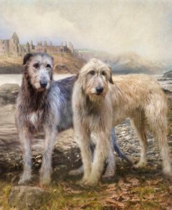 Irish Wolfhounds