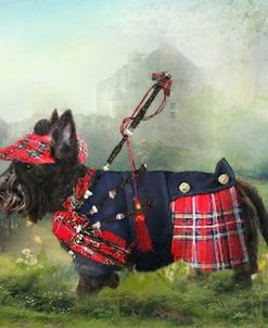 Scottie of the Glen