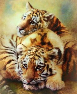 Petit Tigres
