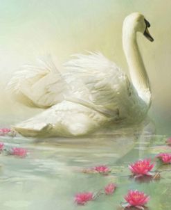 Swan Song