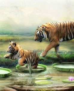 Tiger Lilies