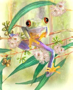 Tree Frog