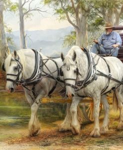 Shire Stroll