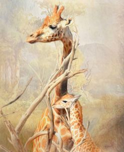 Giraffe Mother and Calf