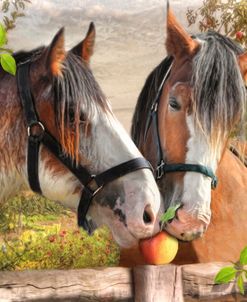 An Apple A Day