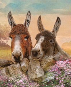 Donkey Duo