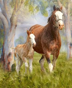 Clydesdale Mare and Foal