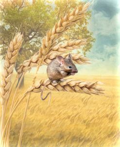 Field Mouse