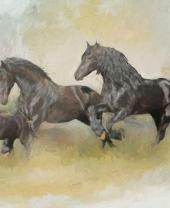 Friesian Family