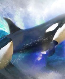 Orca