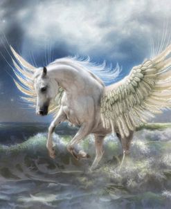 Pegasus Rising