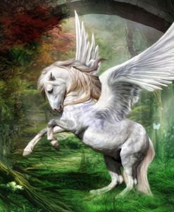 White Pony Pegasus