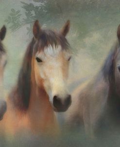 Three Of Hearts …Connemara Ponies