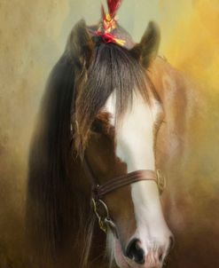 Clydesdale Portrait