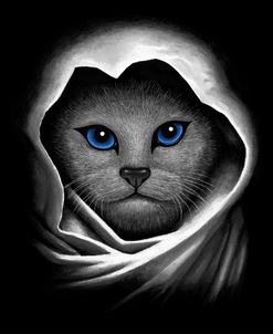 Blue Eyes Cat