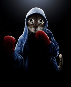 Boxing Cool Cat