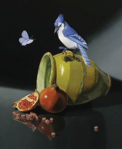The Jay In Provencal Pot