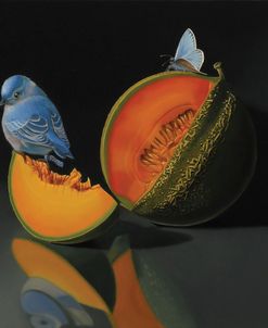 The Melon And The Blue Bird