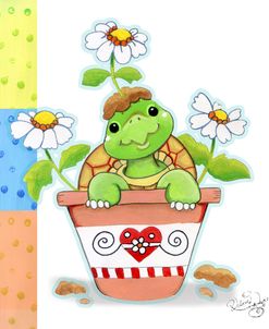 Flower Pot Turtle