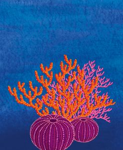 Diving In The Summer 5