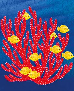 Diving In The Summer 1