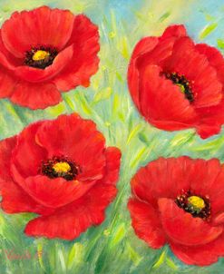 Poppies A
