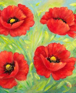 Poppies B