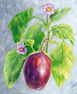 Eggplant