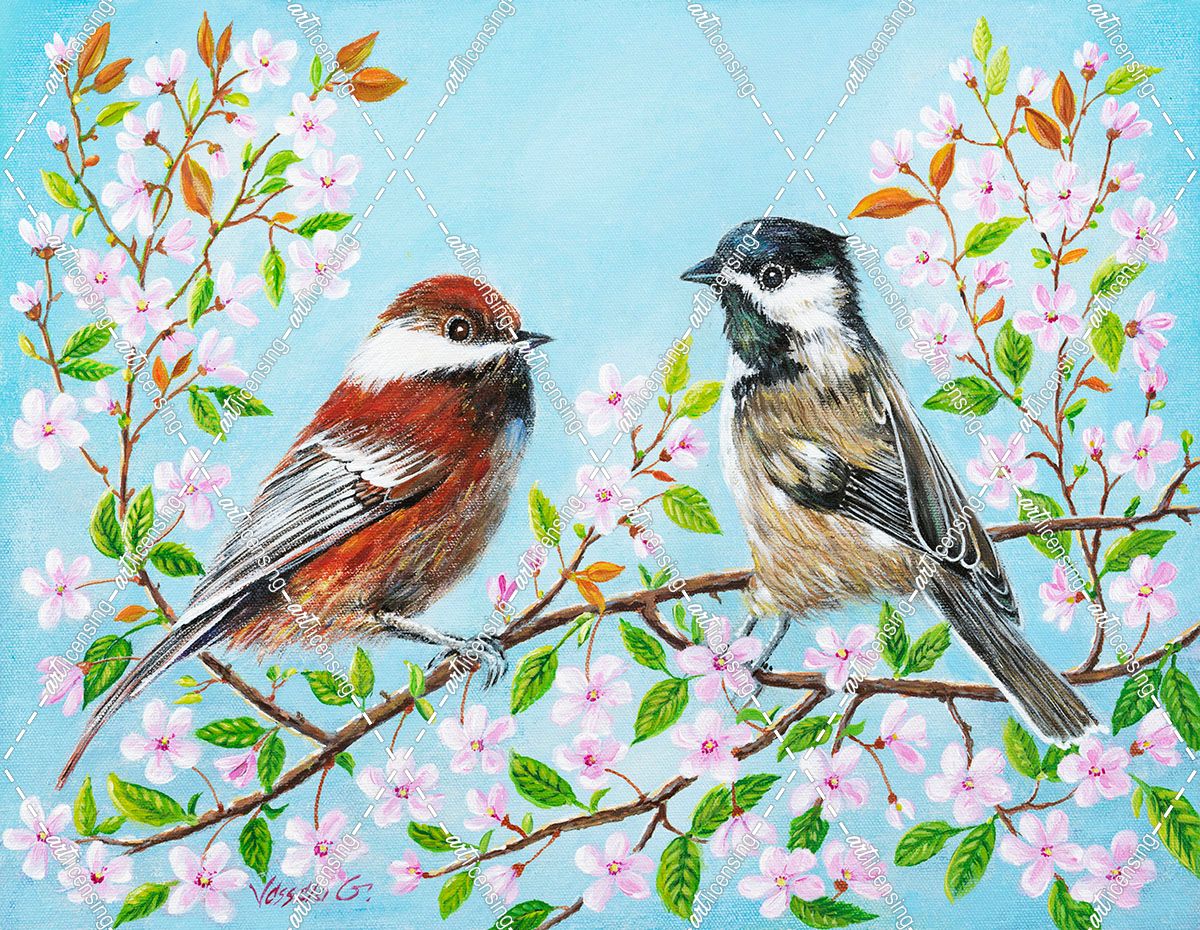 Chickadees in the Spring