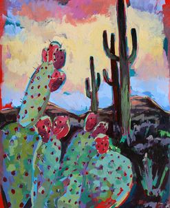 Tucson Bloom