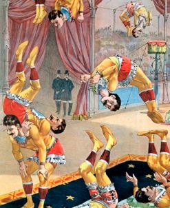 Seven Acrobats