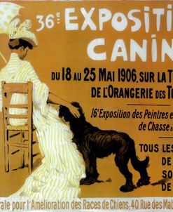 Exposition Canine