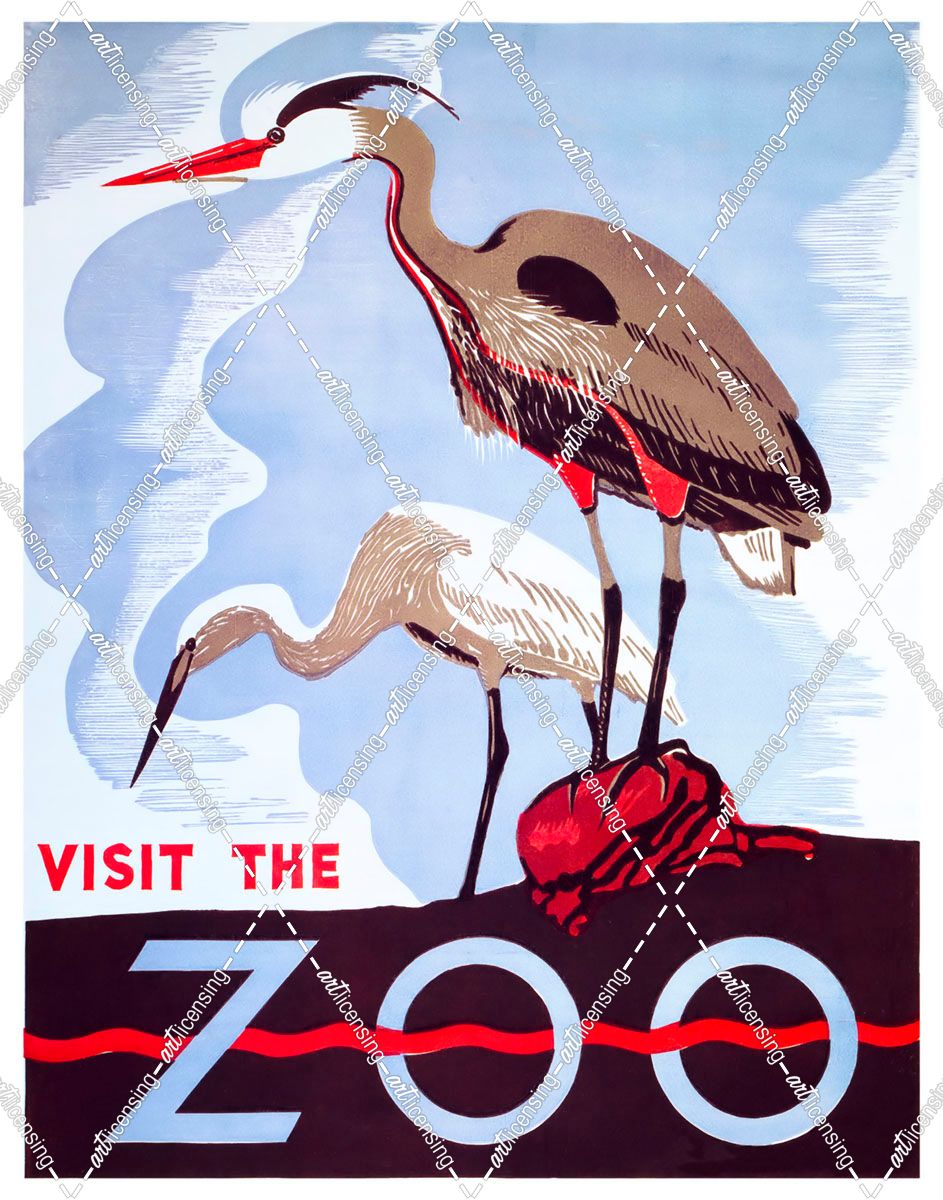 visit the zoo