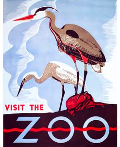 visit the zoo