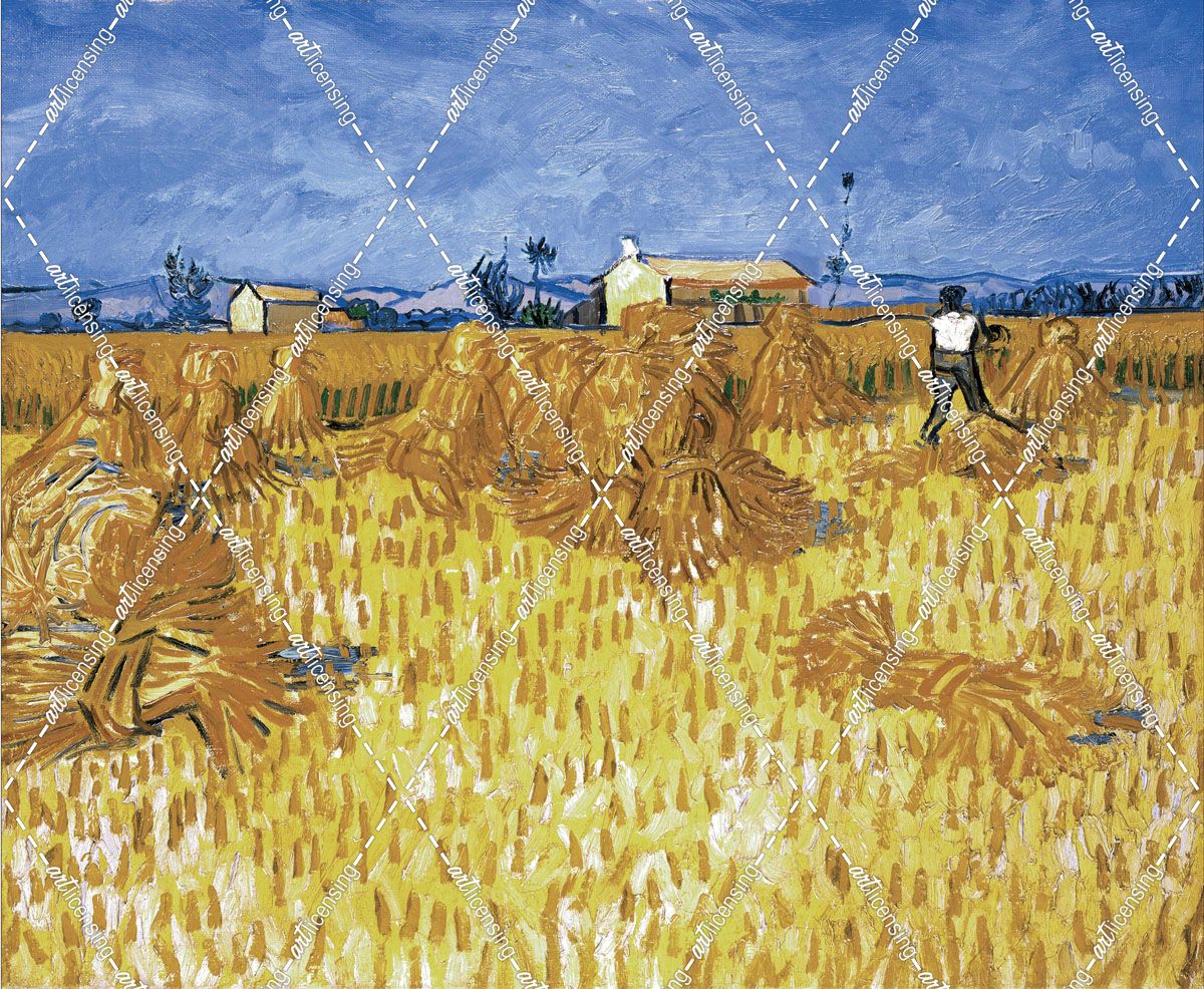 Van Gogh, Cornfield in Provence
