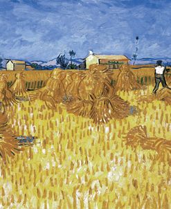 Van Gogh, Cornfield in Provence