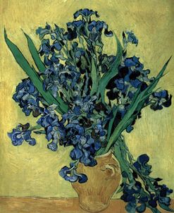 Van Gogh, Irises(1890)