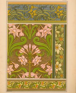 Plate 29 – Jonquil