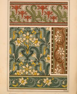 Plate 30 – Jonquil