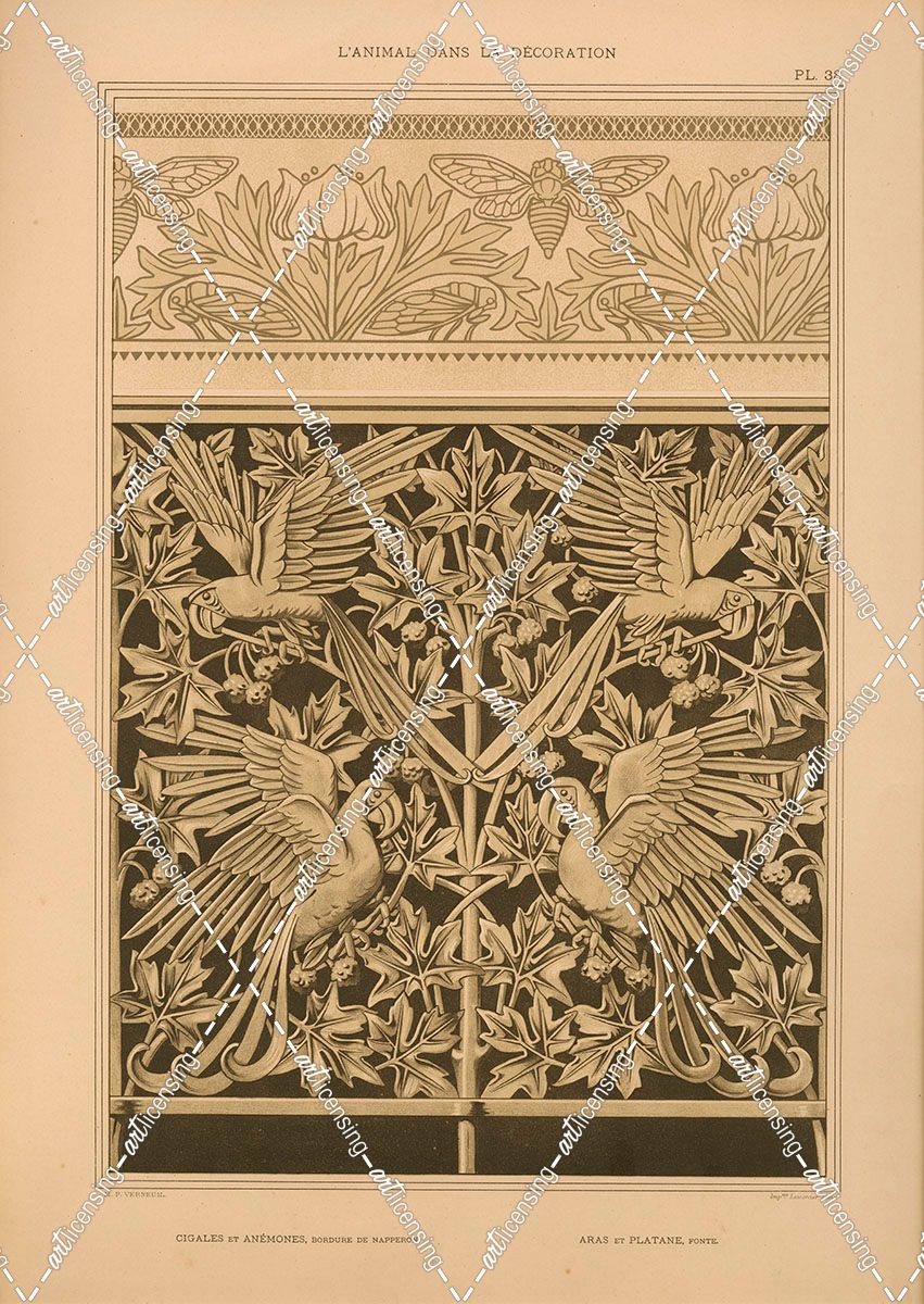 Plate 38 – Cigales Et Anemones. Bordure De Napperon.