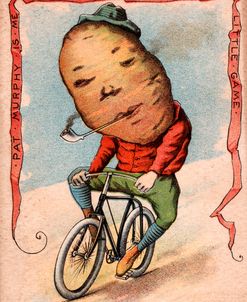 Bike Potato