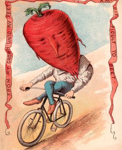 Bike Beet