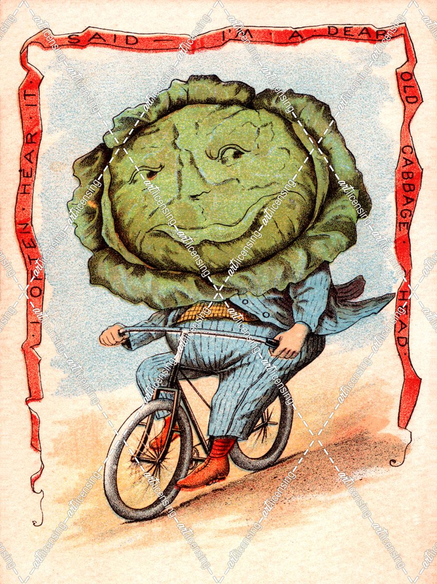 Bike Cabbage