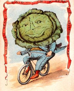 Bike Cabbage