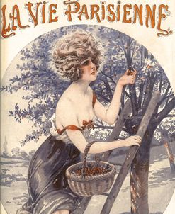 Lavie Parisenne Cherry Picking