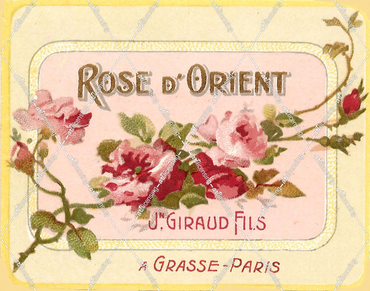 Rose D Orient