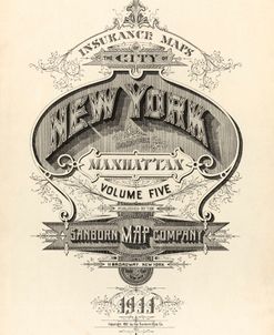 Vintage Map Ny