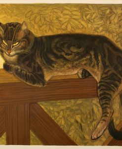 Steinlen Cat