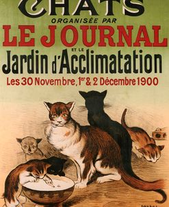 Exposition De Chats