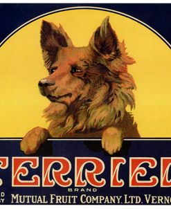 Terrier Label